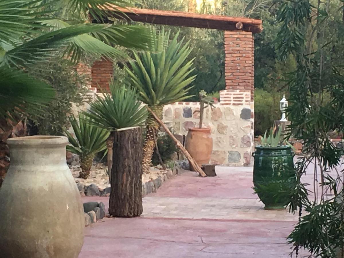 אואירגאנה Sel D Ailleurs, Atlas Mountain Retreat - Adults Only מראה חיצוני תמונה