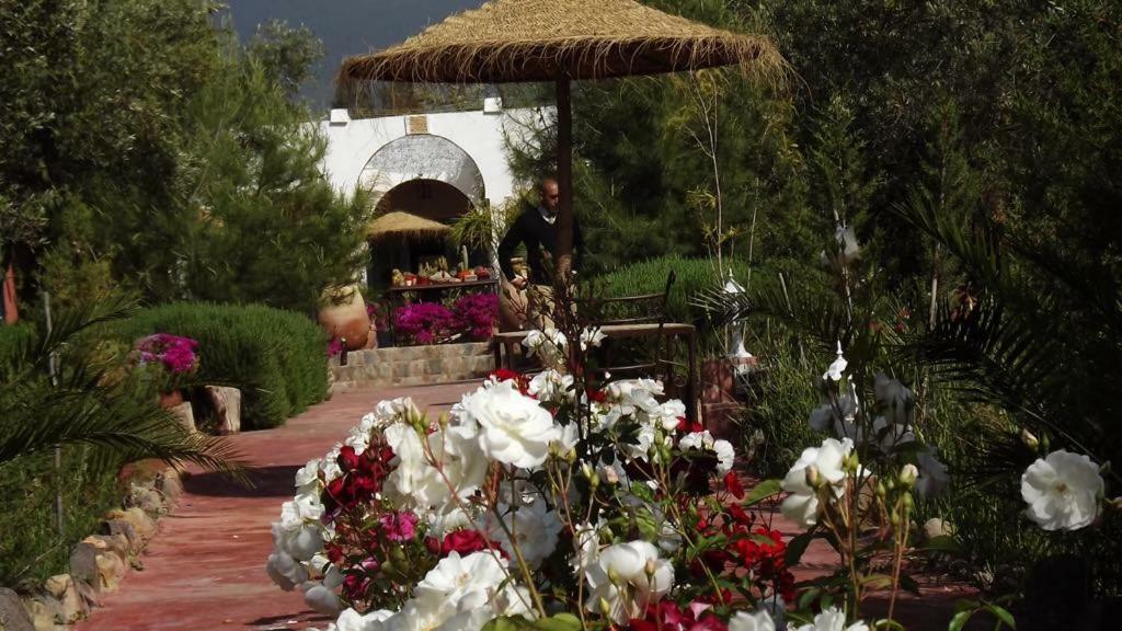 אואירגאנה Sel D Ailleurs, Atlas Mountain Retreat - Adults Only מראה חיצוני תמונה
