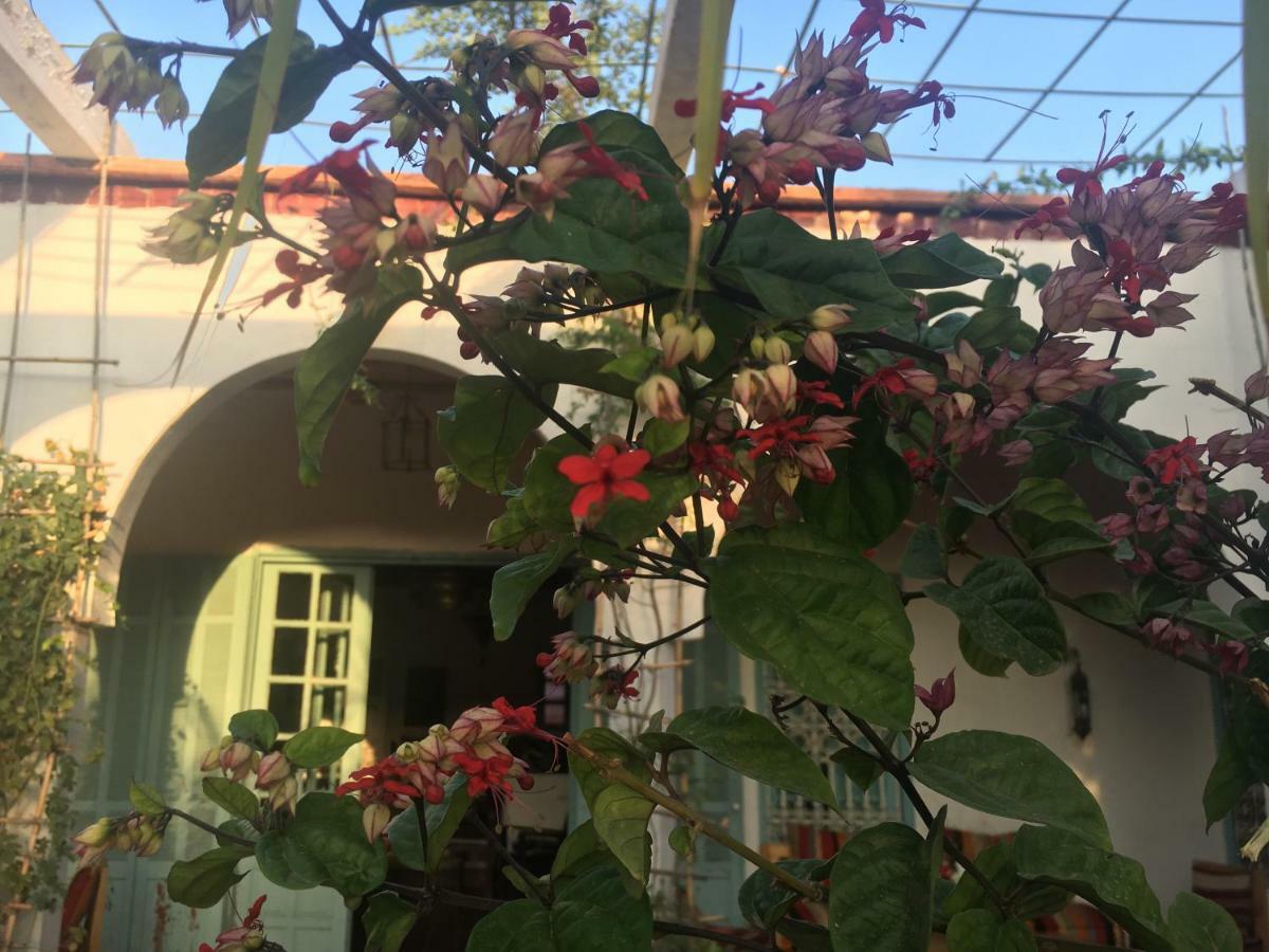 אואירגאנה Sel D Ailleurs, Atlas Mountain Retreat - Adults Only מראה חיצוני תמונה