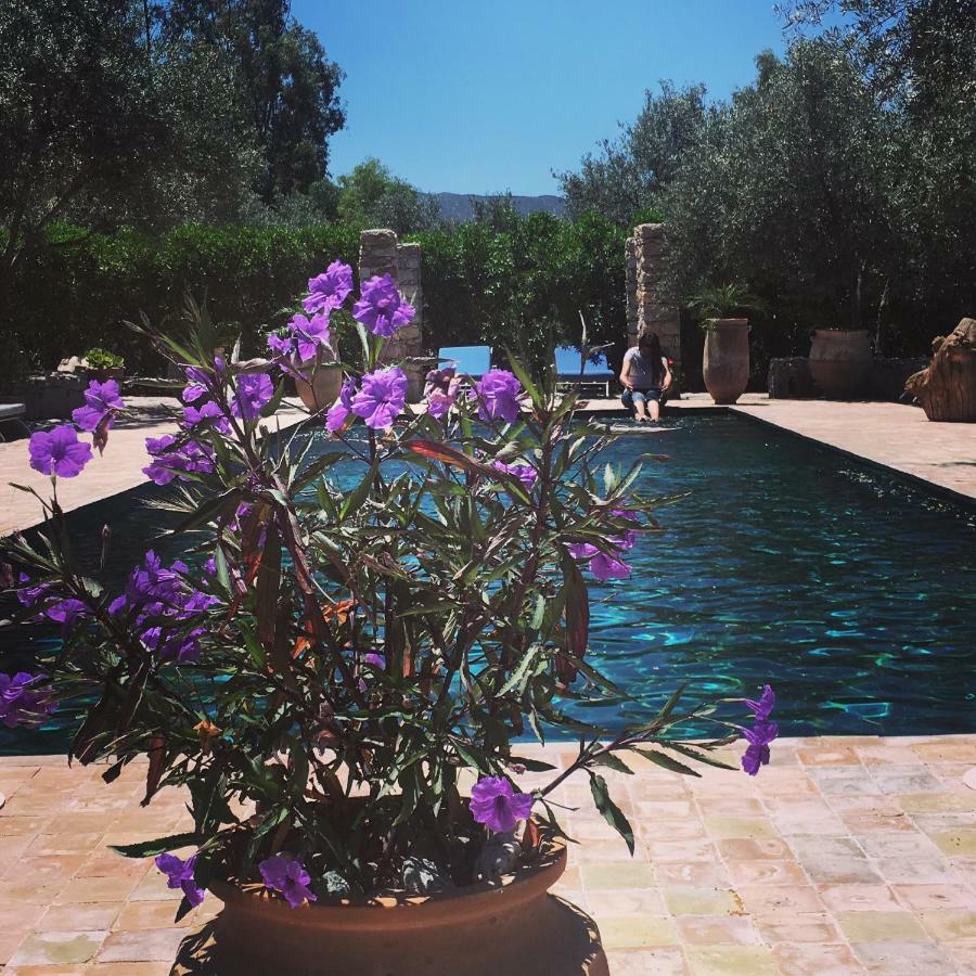 אואירגאנה Sel D Ailleurs, Atlas Mountain Retreat - Adults Only מראה חיצוני תמונה
